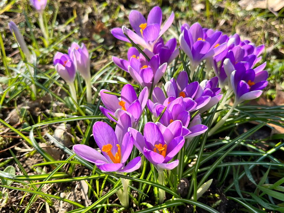 23-02-13 12-31-44 4175